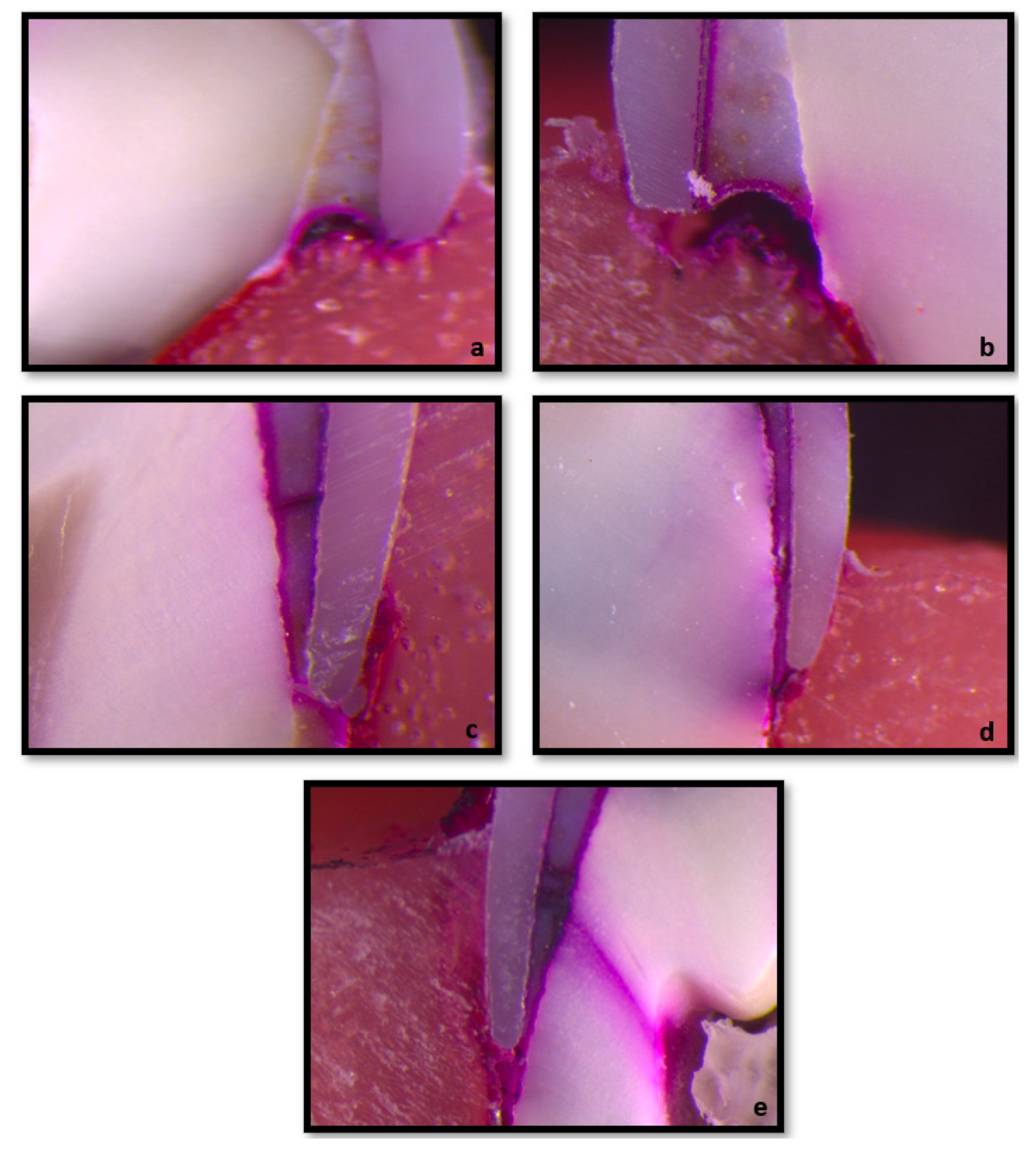 Biomimetics 10 00538 g002