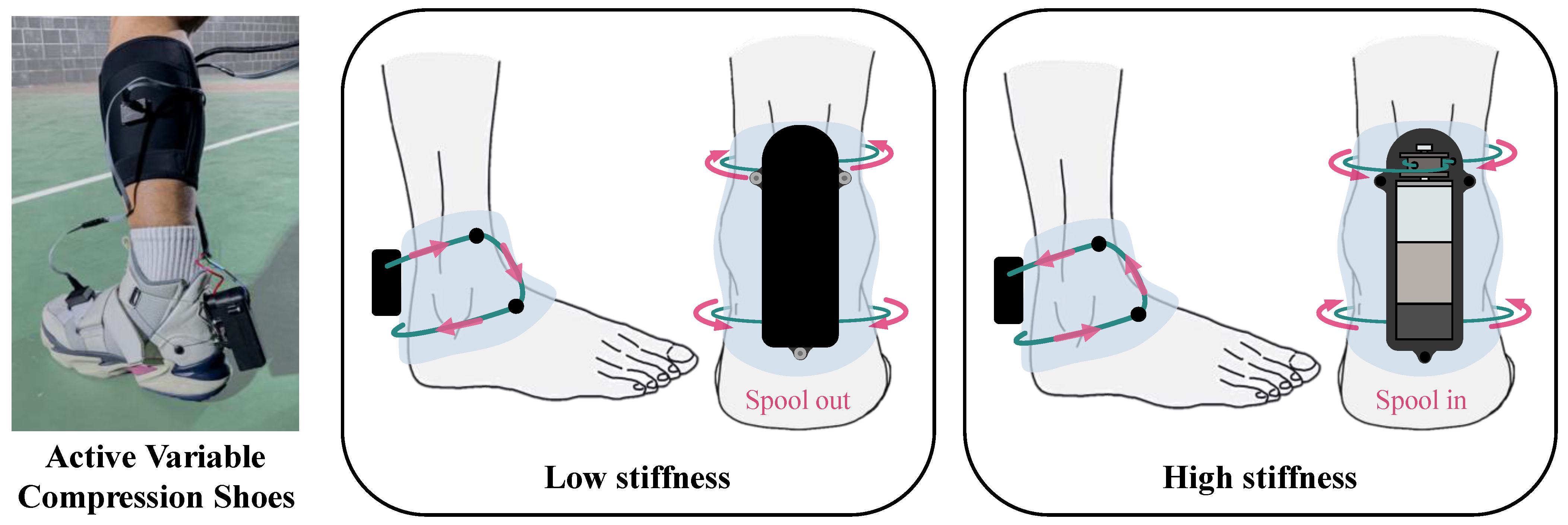 Biomimetics 10 00539 g001