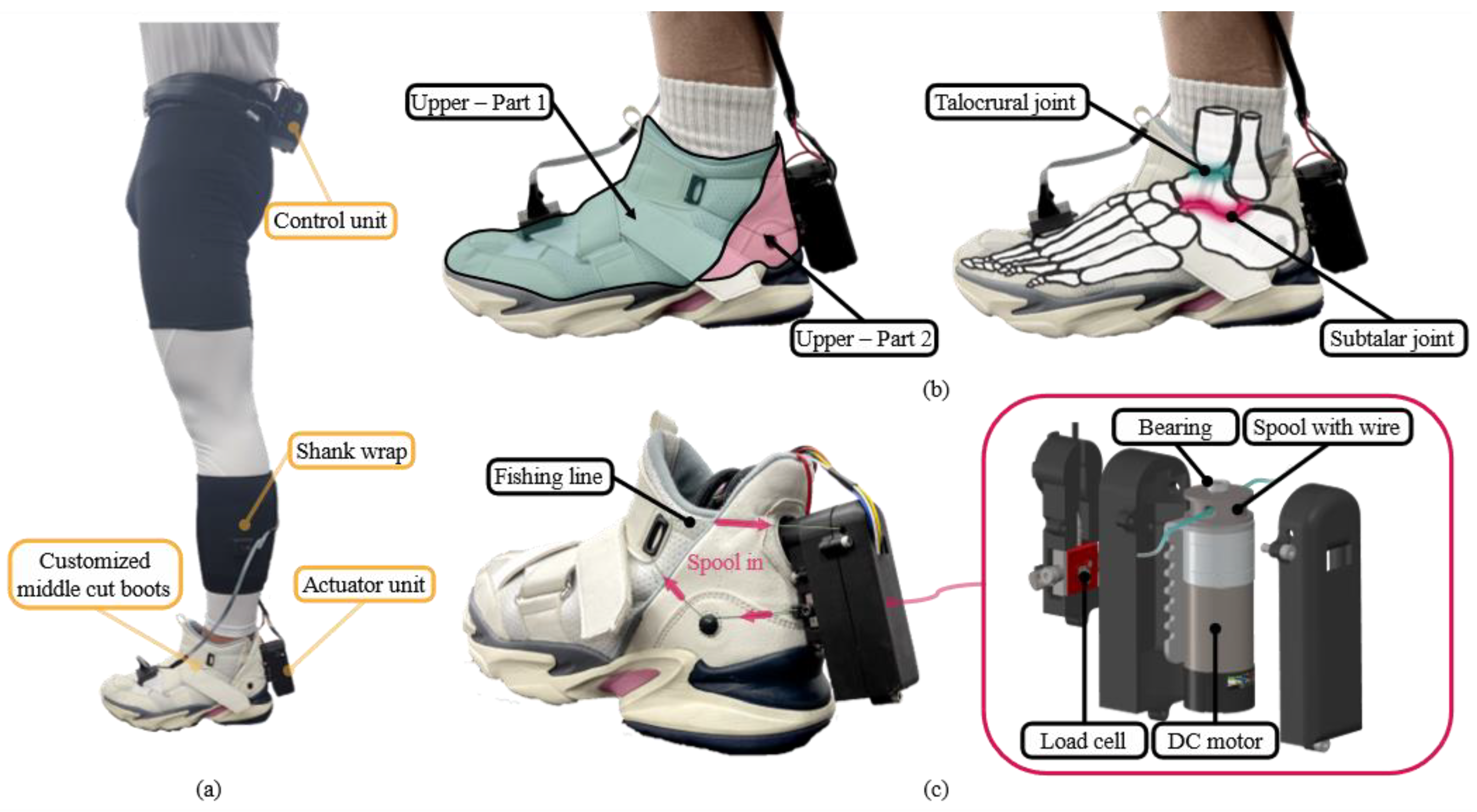 Biomimetics 10 00539 g002