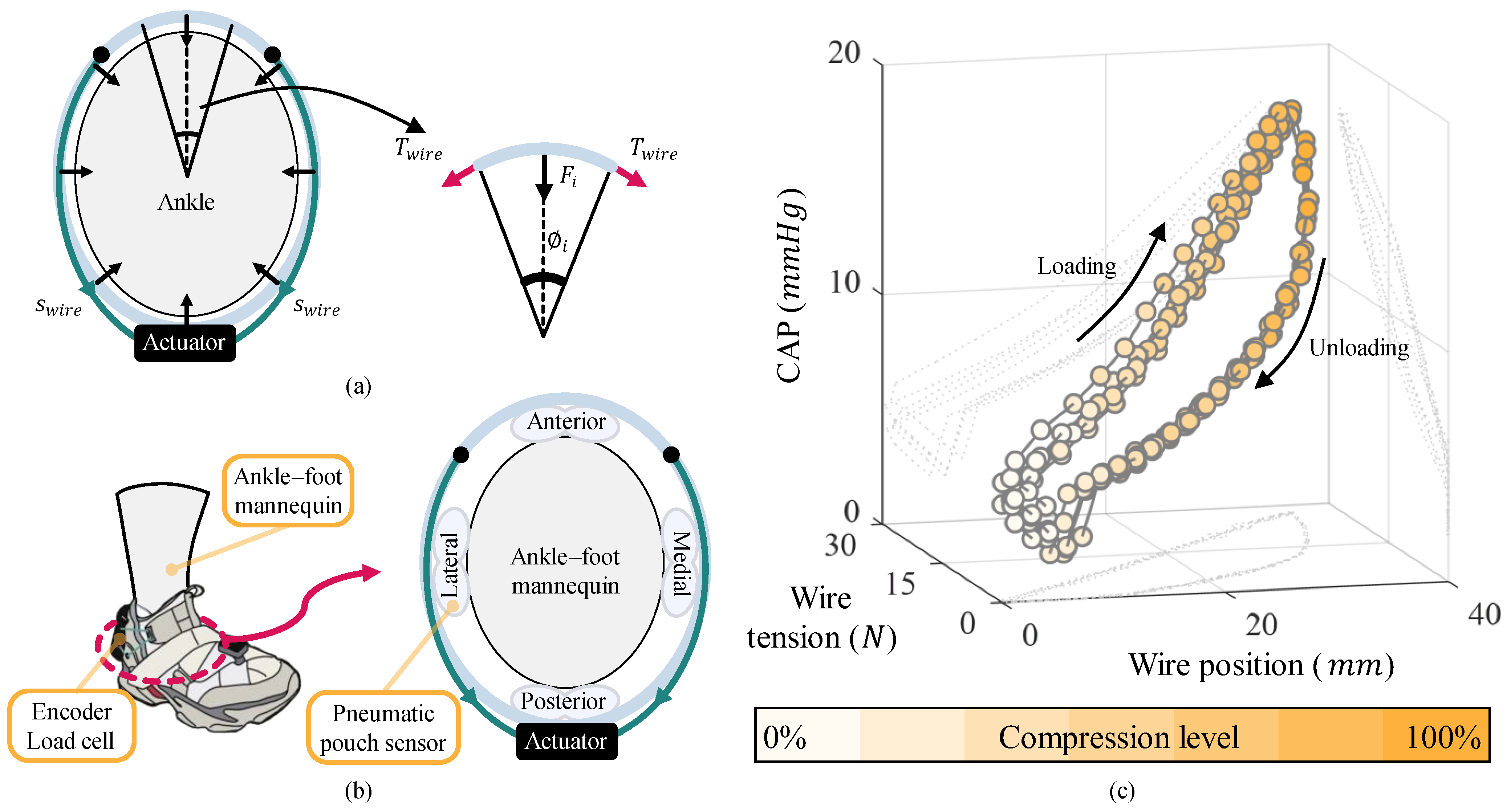 Biomimetics 10 00539 g003