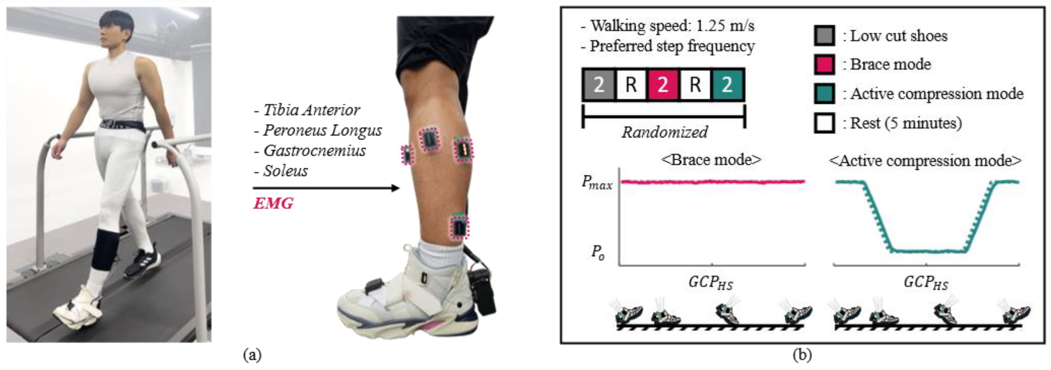 Biomimetics 10 00539 g005