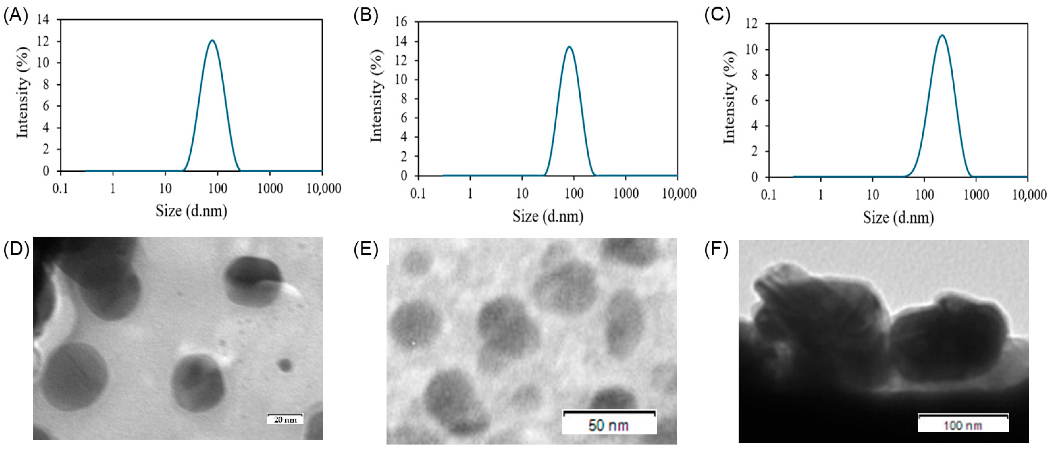 Biomimetics 10 00552 g003