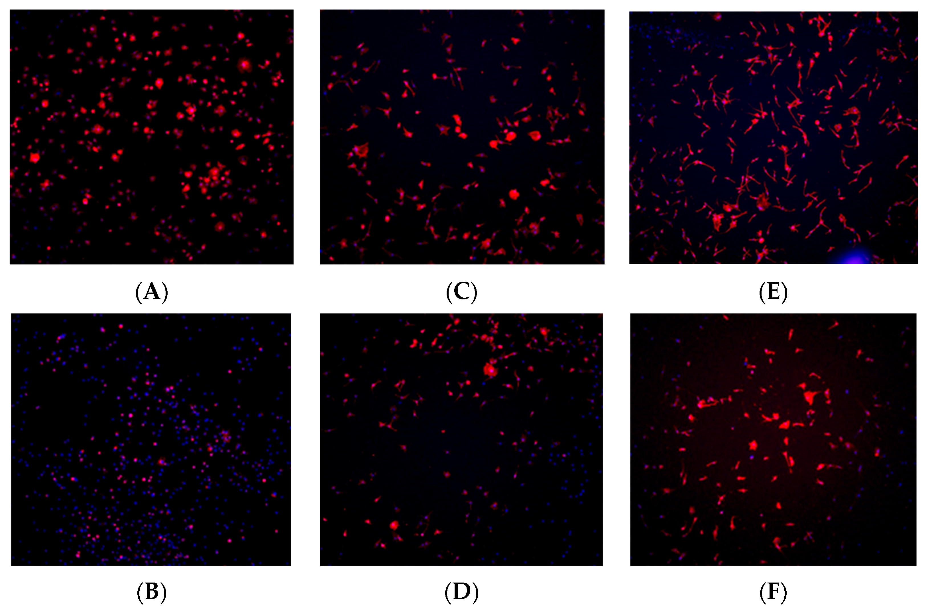 Biomimetics 10 00571 g009
