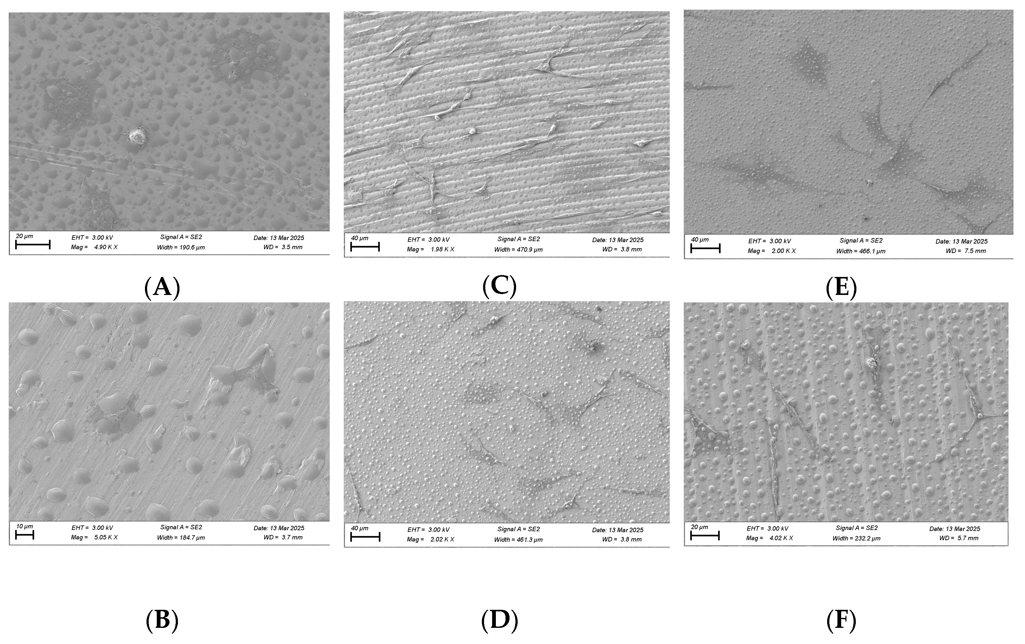 Biomimetics 10 00571 g010