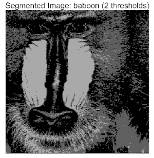 Biomimetics 10 00596 i001