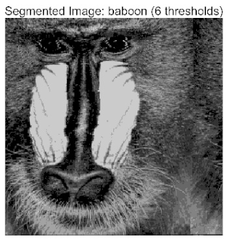 Biomimetics 10 00596 i003