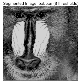 Biomimetics 10 00596 i004