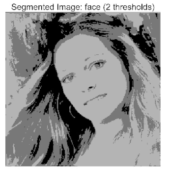 Biomimetics 10 00596 i025