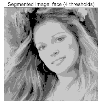 Biomimetics 10 00596 i026