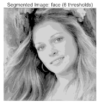 Biomimetics 10 00596 i027