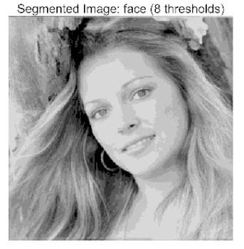 Biomimetics 10 00596 i028