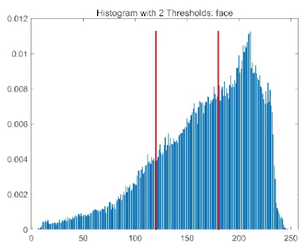Biomimetics 10 00596 i029