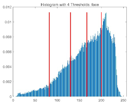 Biomimetics 10 00596 i030