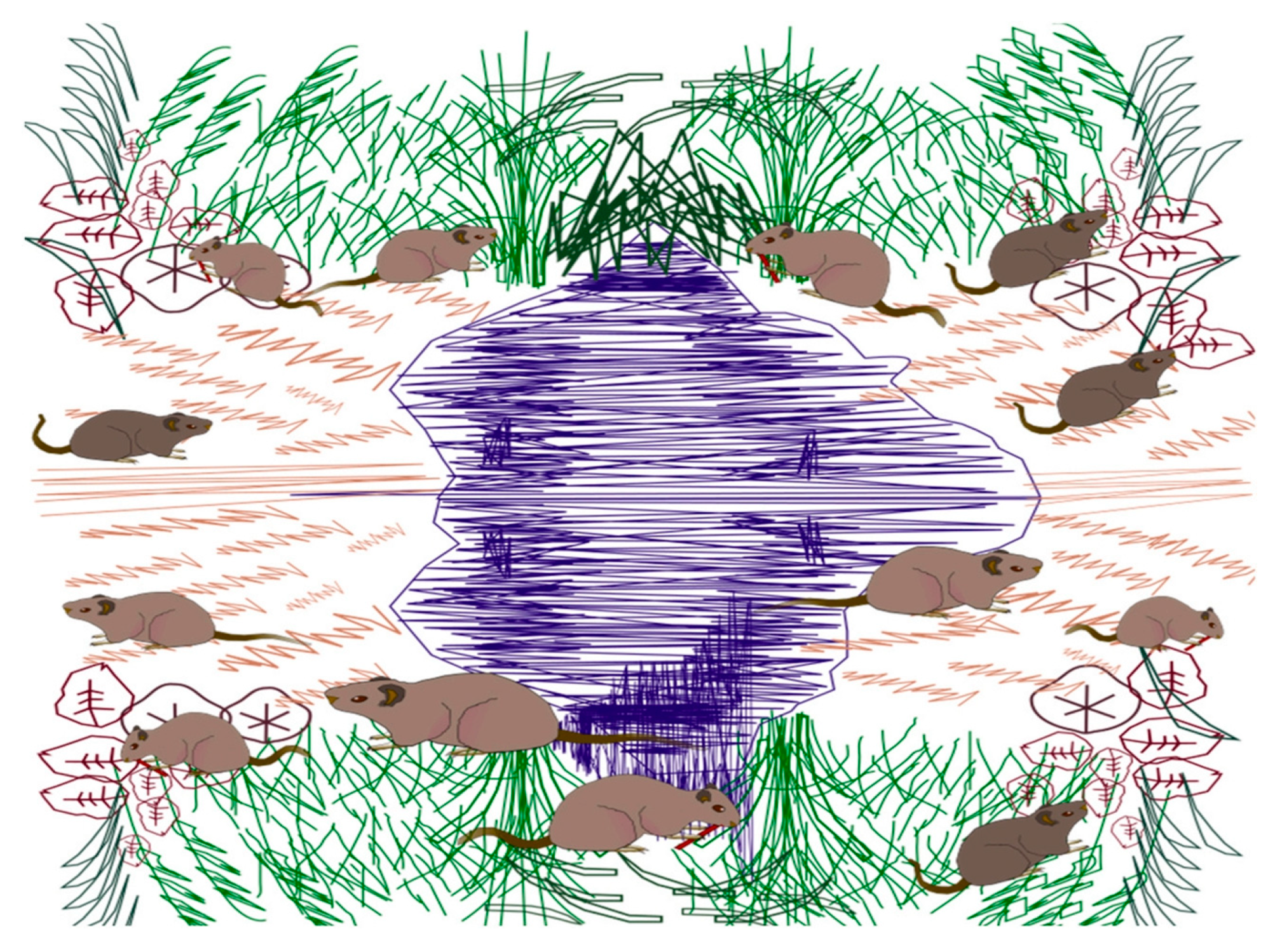 Biomimetics 10 00629 g002 Biomimetics 10 00629 g002