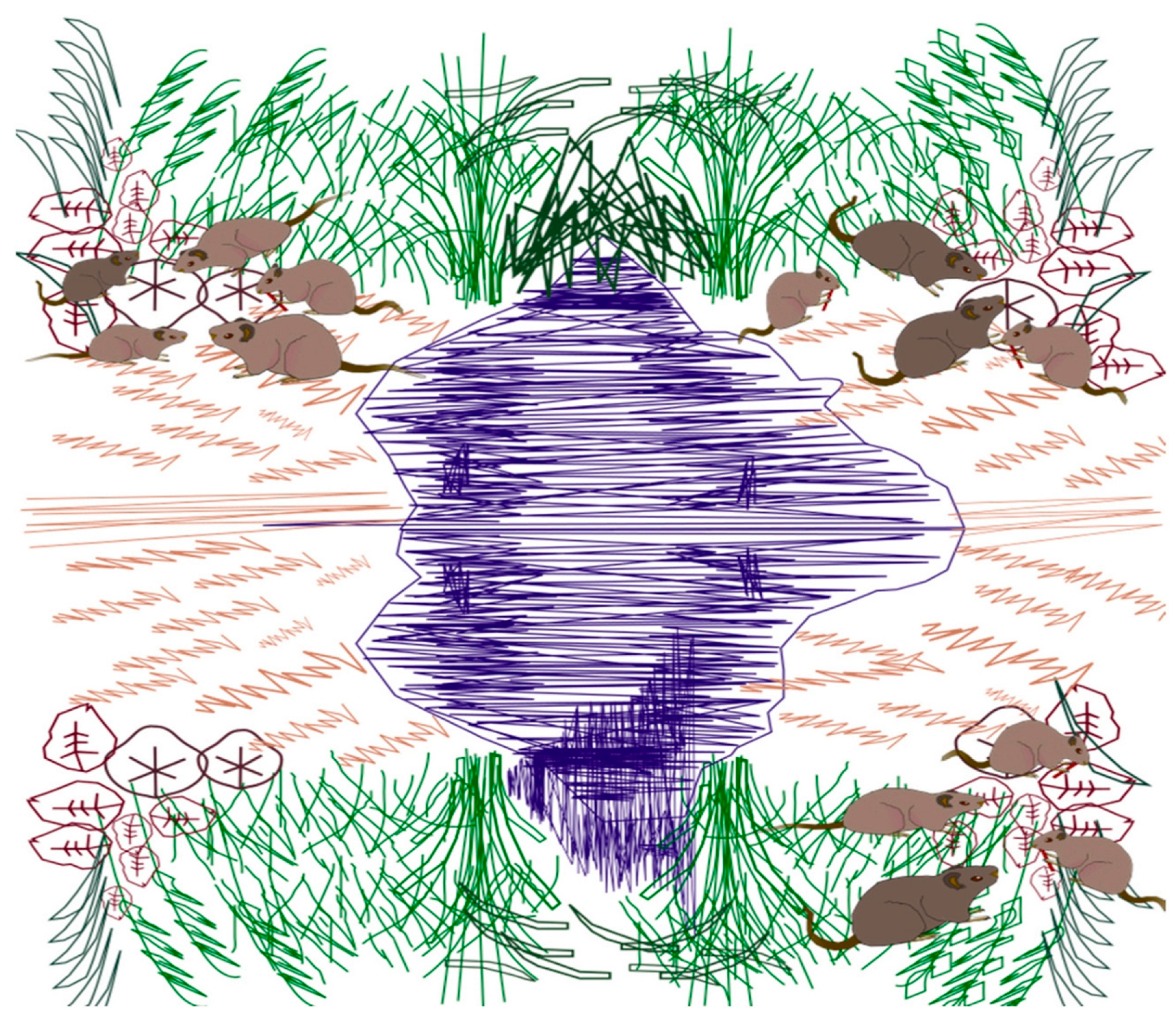 Biomimetics 10 00629 g003 Biomimetics 10 00629 g003