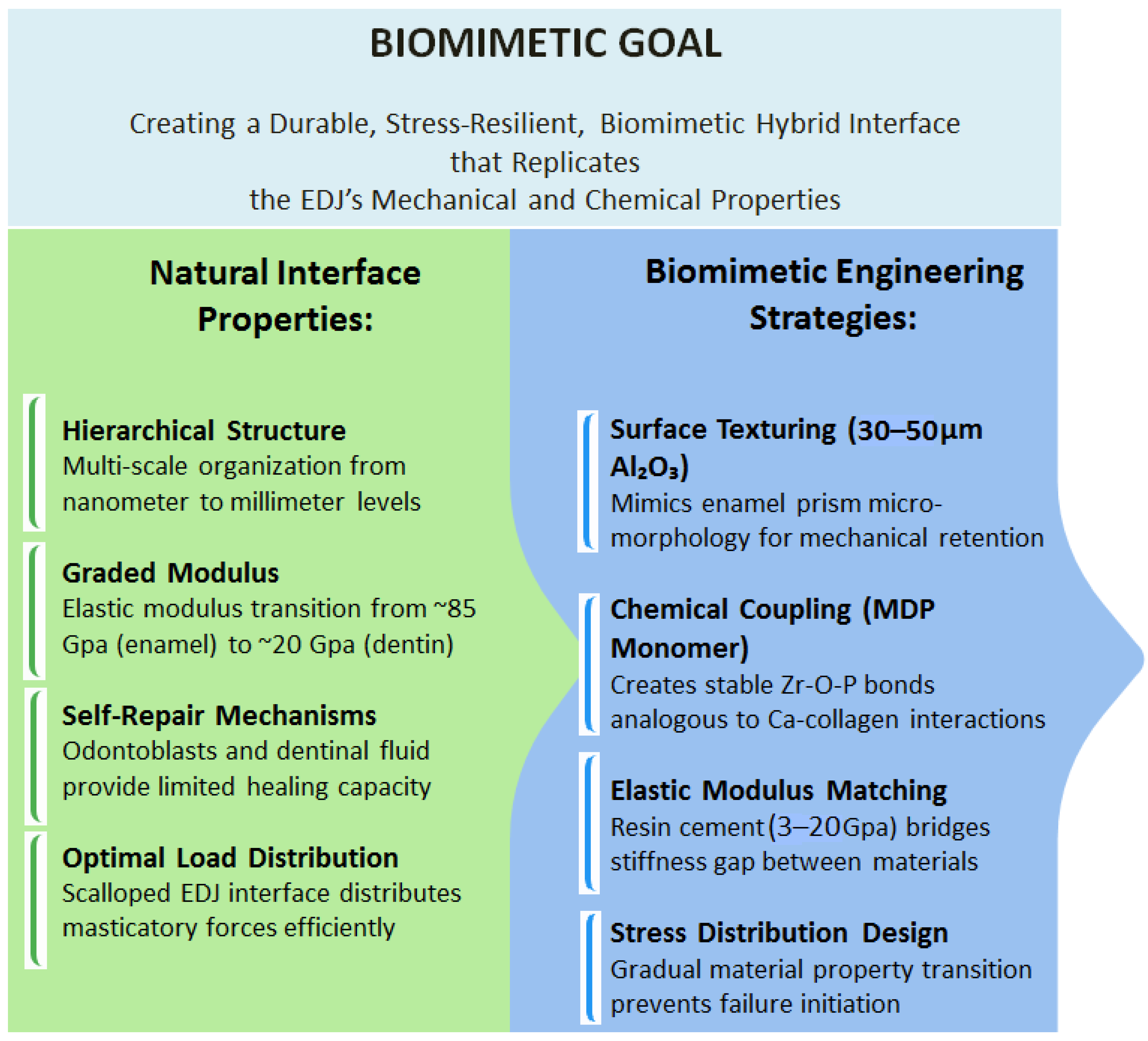 Biomimetics 10 00632 g002