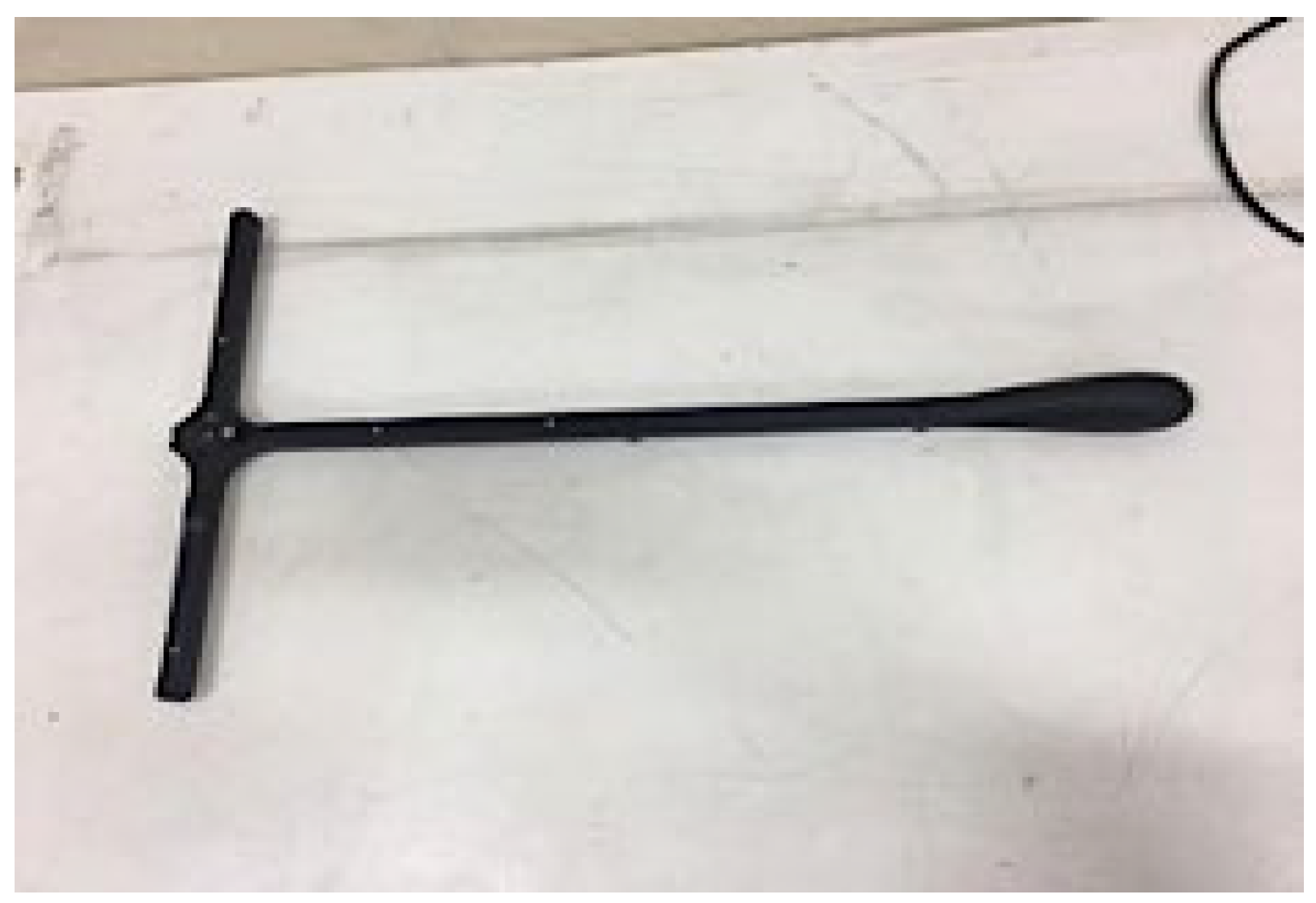 Biomimetics 10 00649 g002