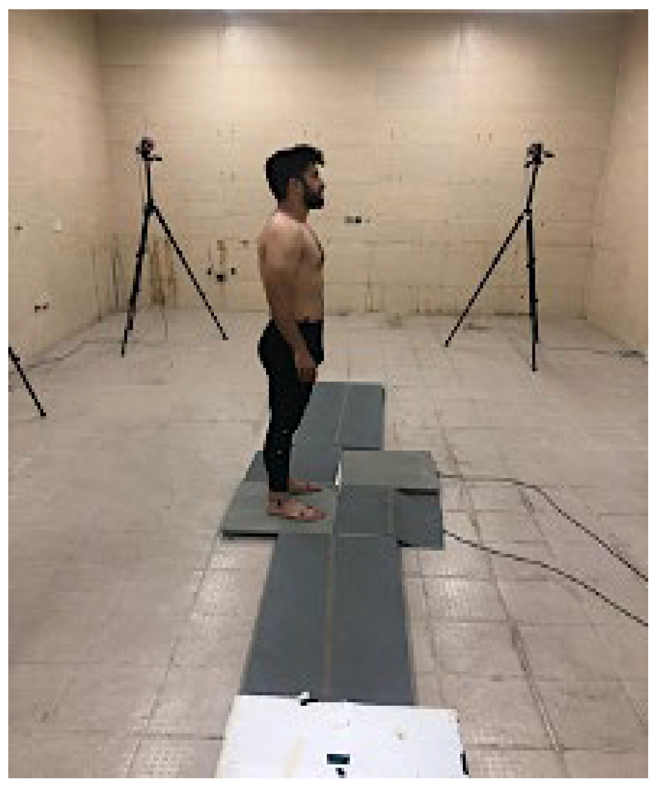 Biomimetics 10 00649 g003