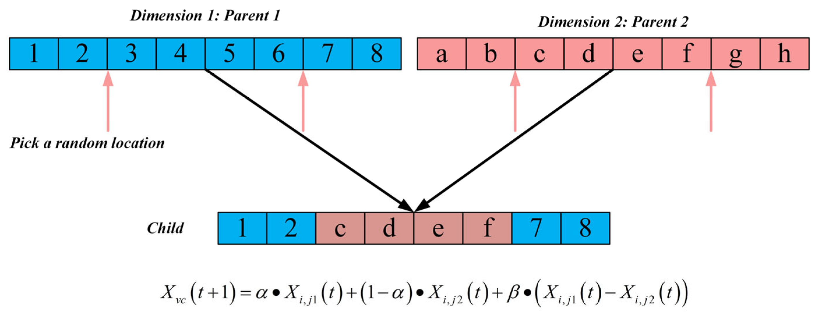 Biomimetics 10 00664 g002