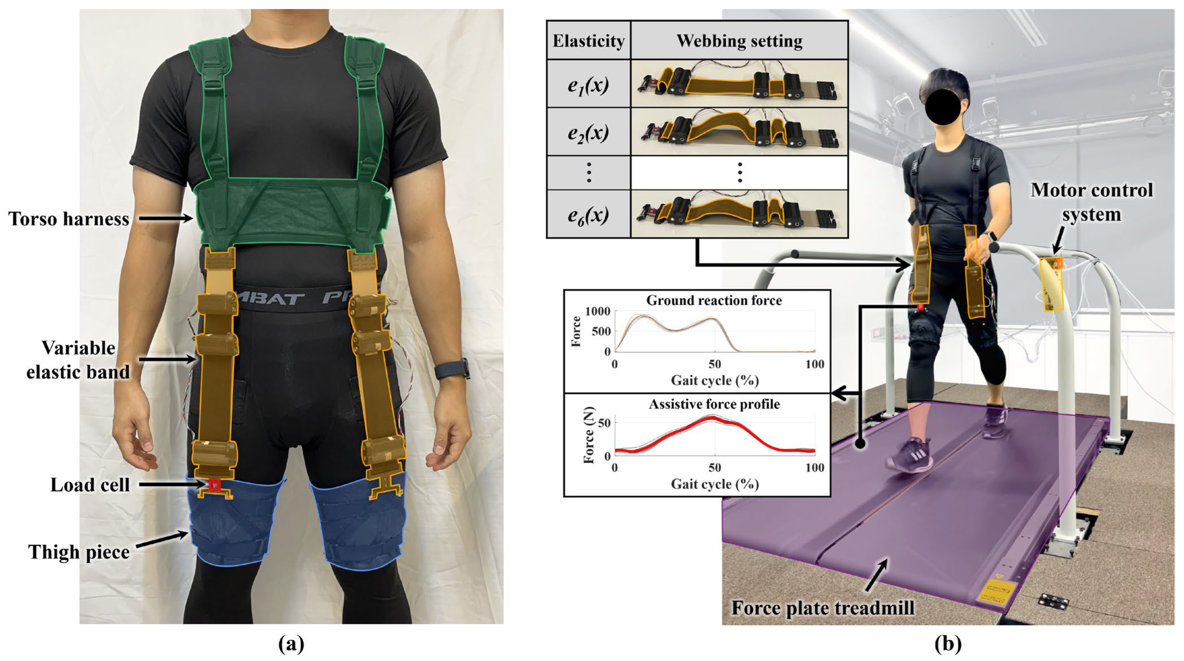 Biomimetics 10 00734 g008