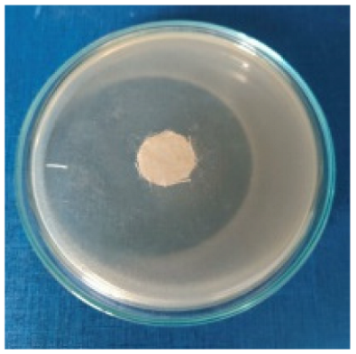 Biomimetics 10 00737 i004