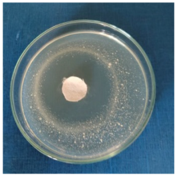 Biomimetics 10 00737 i006