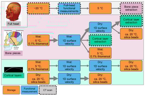 Biomimetics 10 00738 g002
