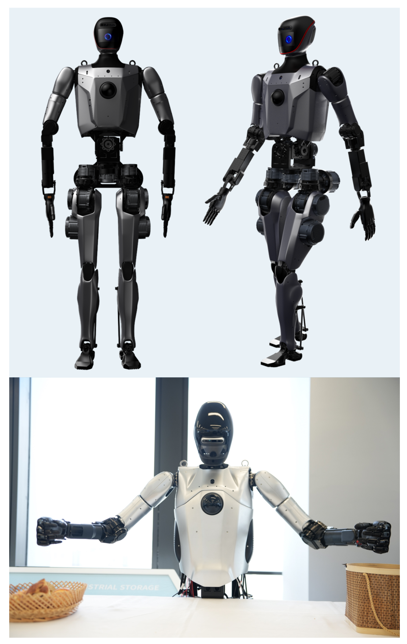 Biomimetics 10 00745 g001