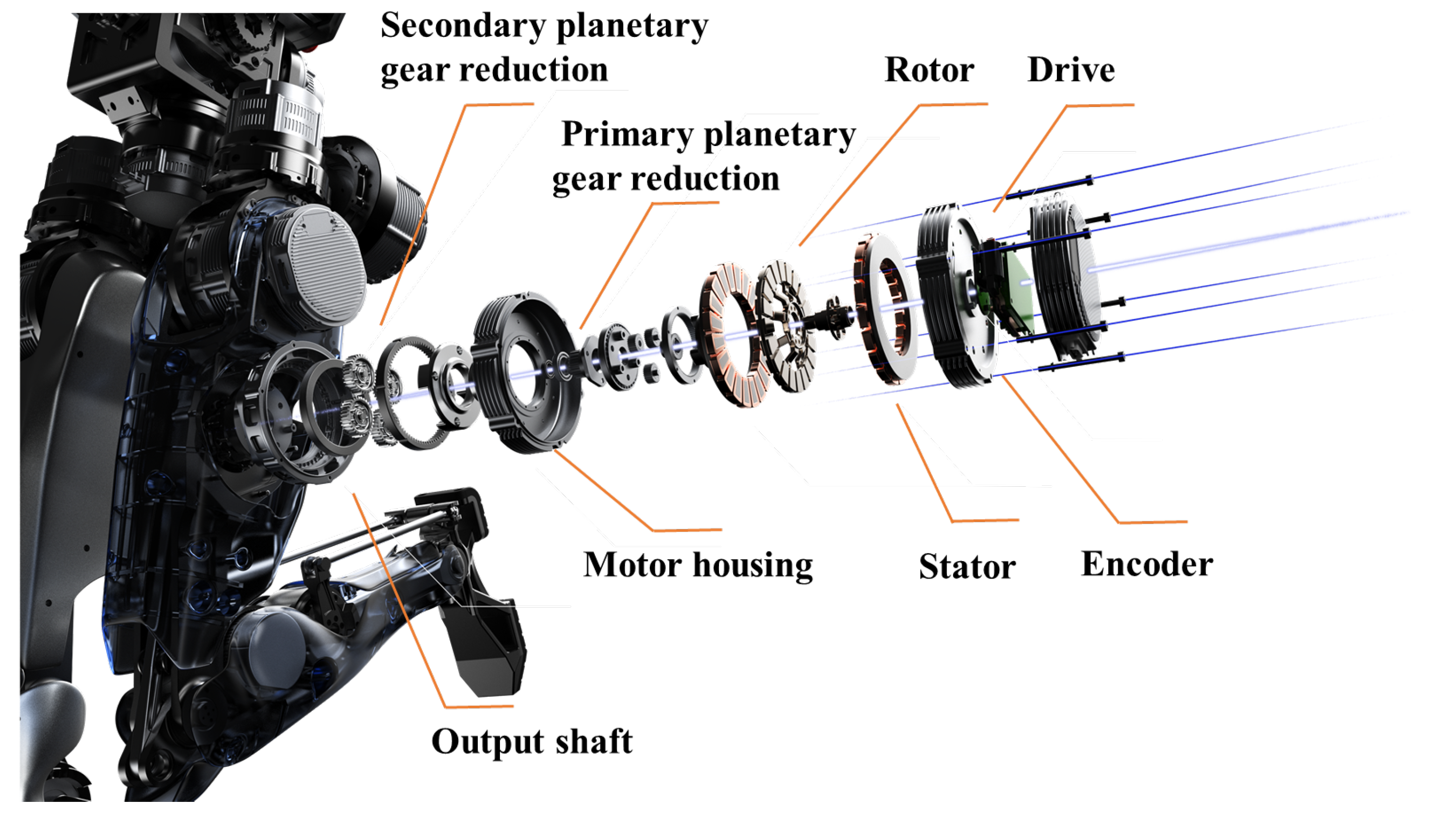 Biomimetics 10 00745 g004