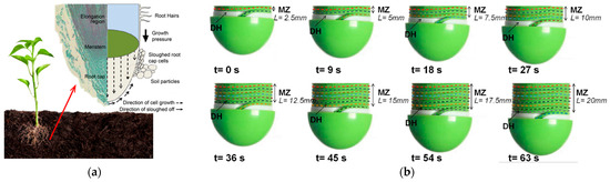 Biomimetics 10 00752 g013