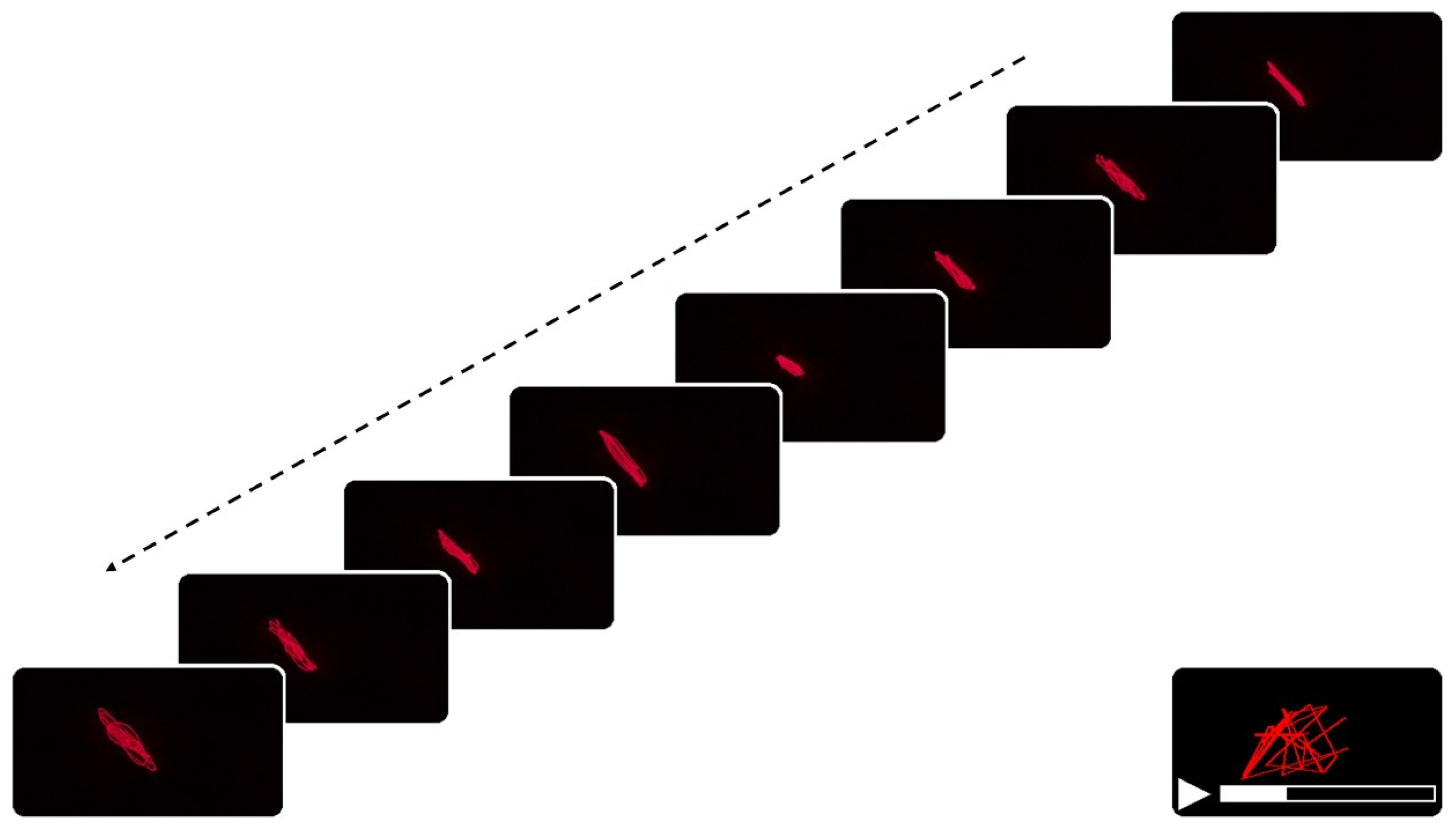 Biomimetics 10 00792 g003 Biomimetics 10 00792 g003
