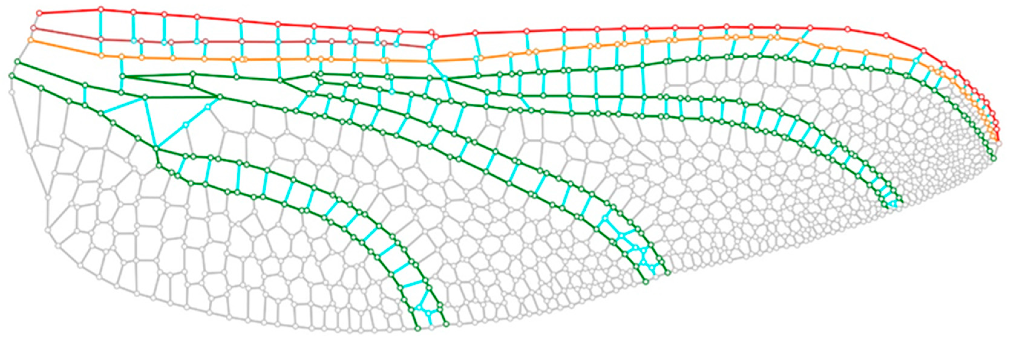 Biomimetics 10 00799 g002 Biomimetics 10 00799 g002