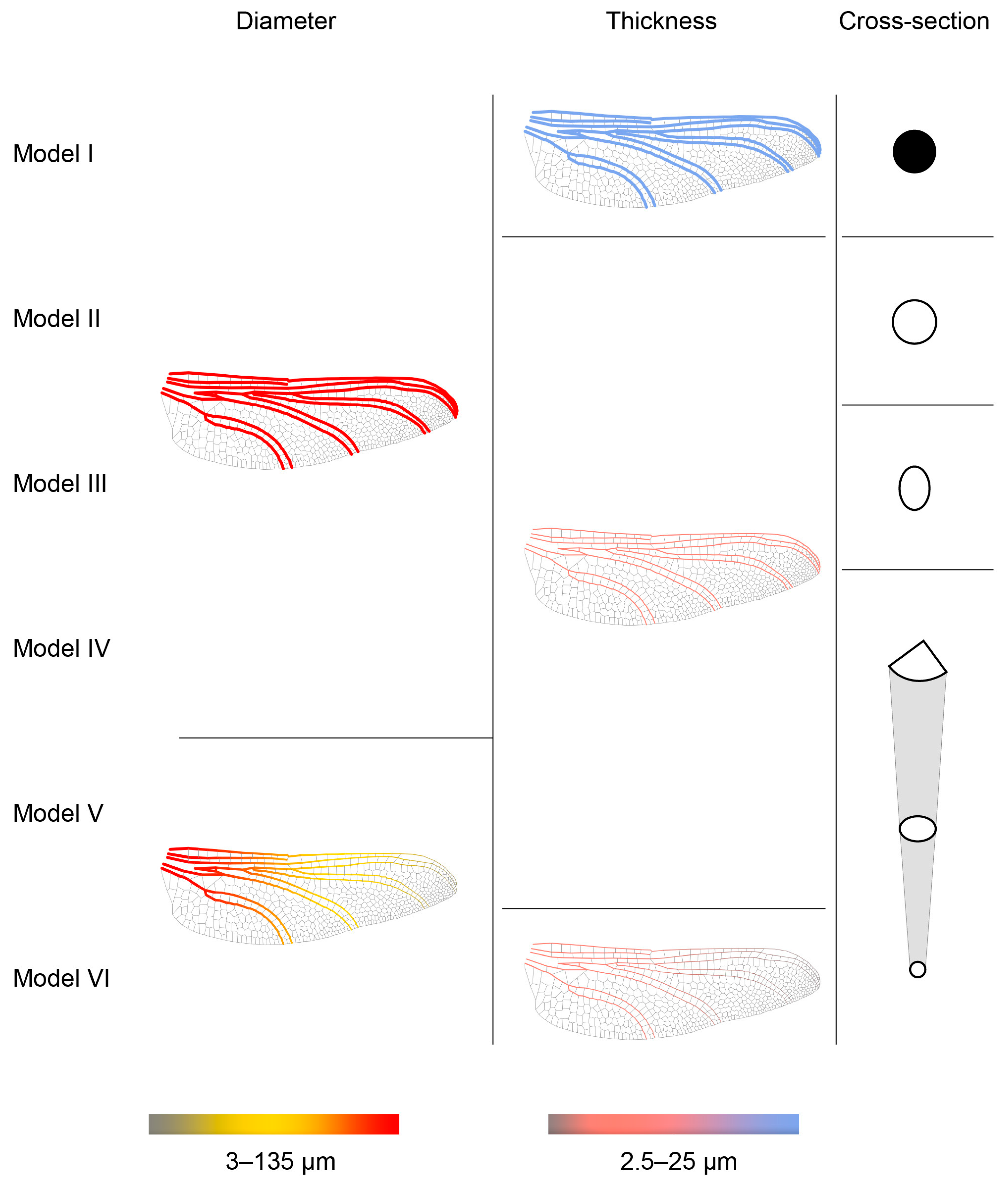 Biomimetics 10 00799 g004 Biomimetics 10 00799 g004