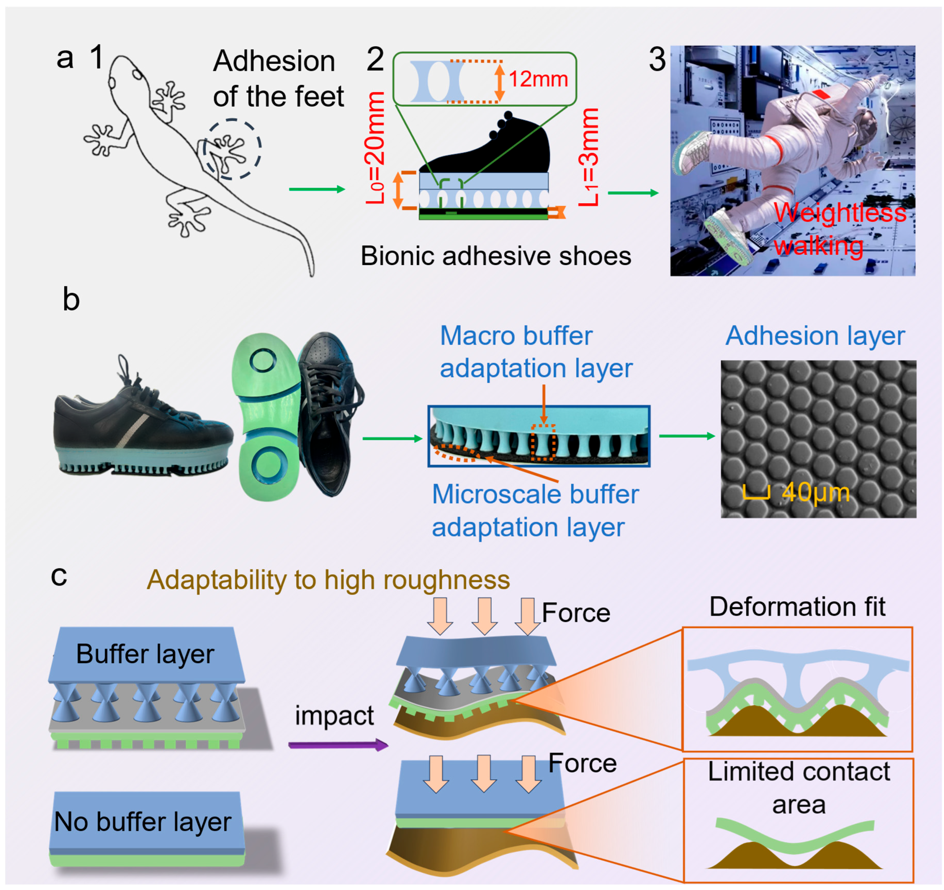 Biomimetics 10 00800 g001 Biomimetics 10 00800 g001