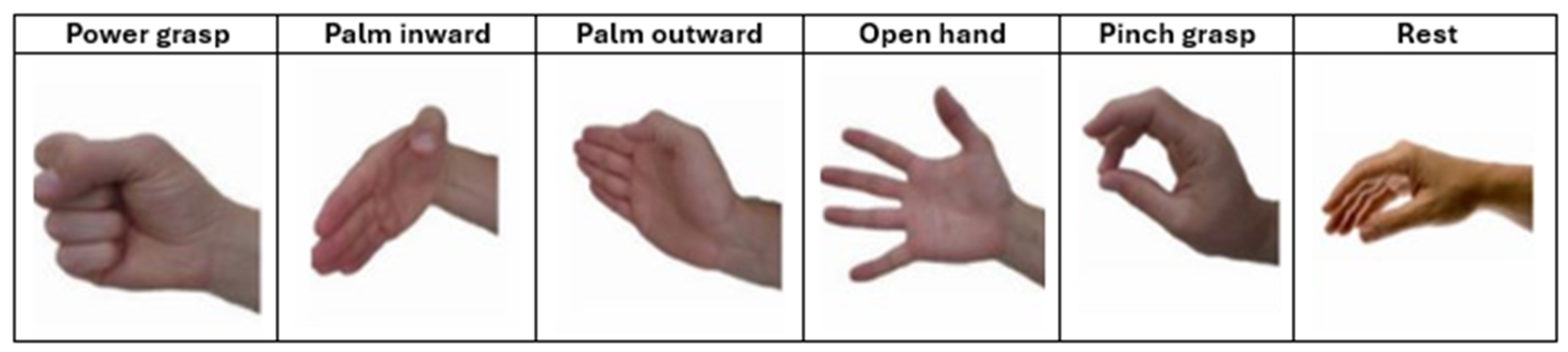 Biomimetics 10 00806 g003