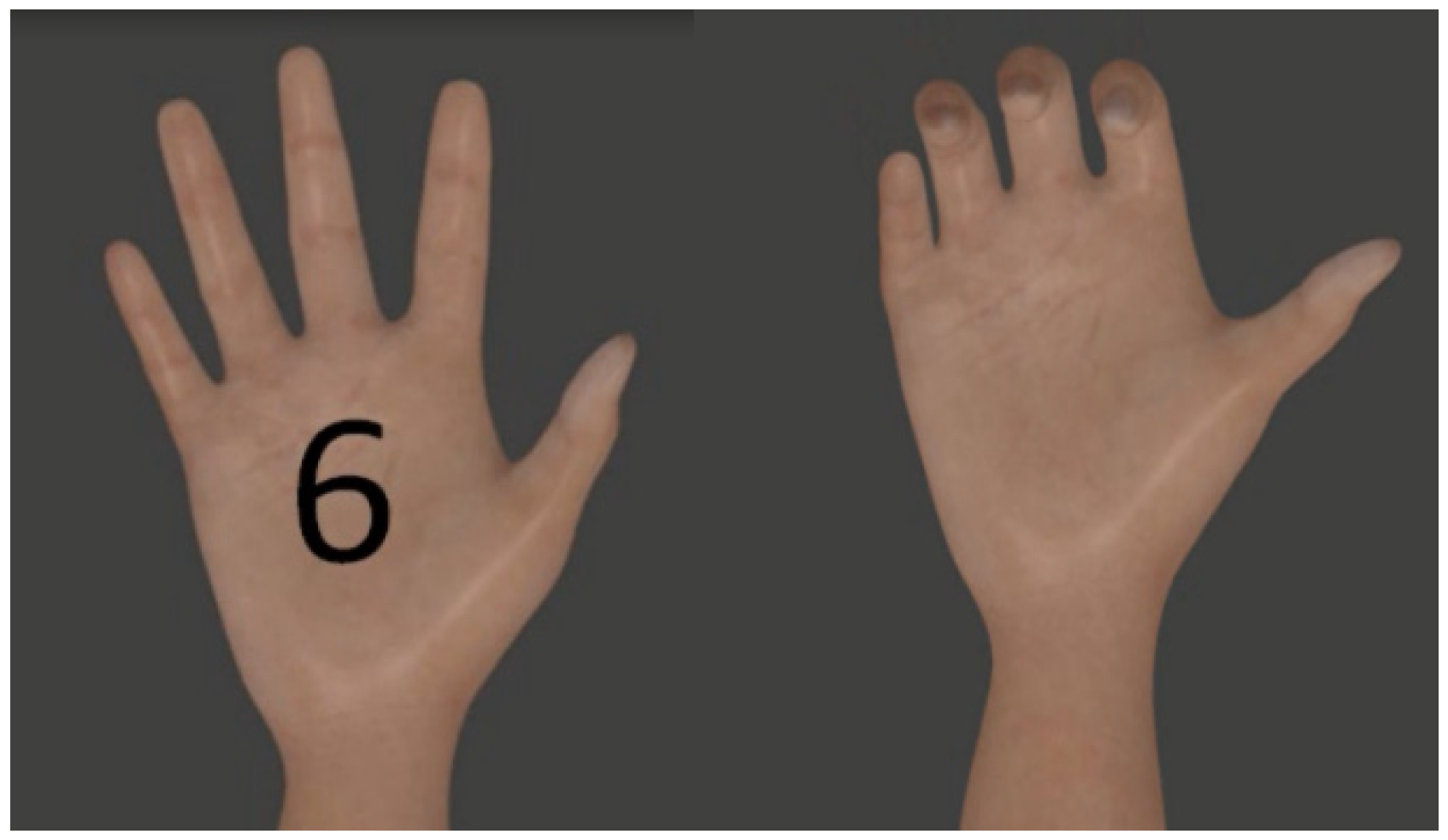 Biomimetics 10 00806 g005