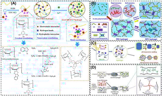 Biomimetics 10 00807 g003