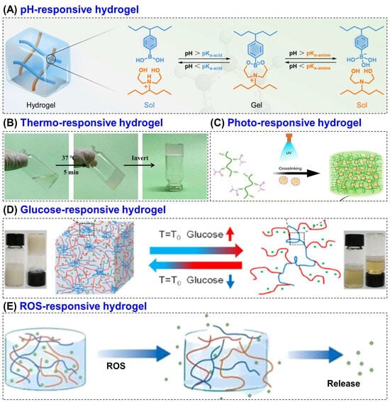 Biomimetics 10 00807 g004