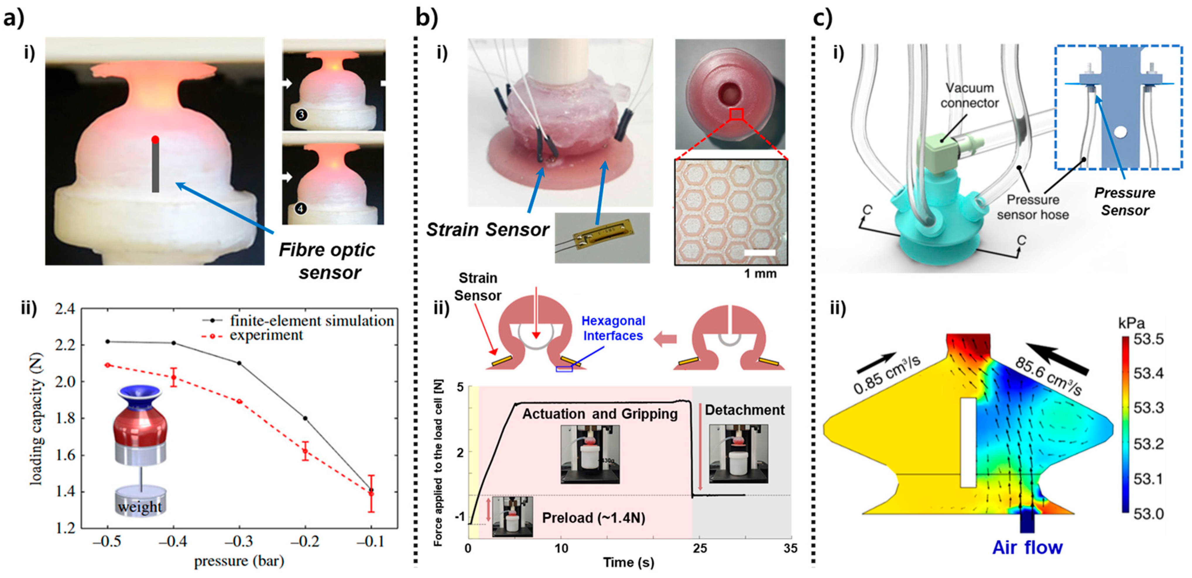 Biomimetics 10 00813 g002