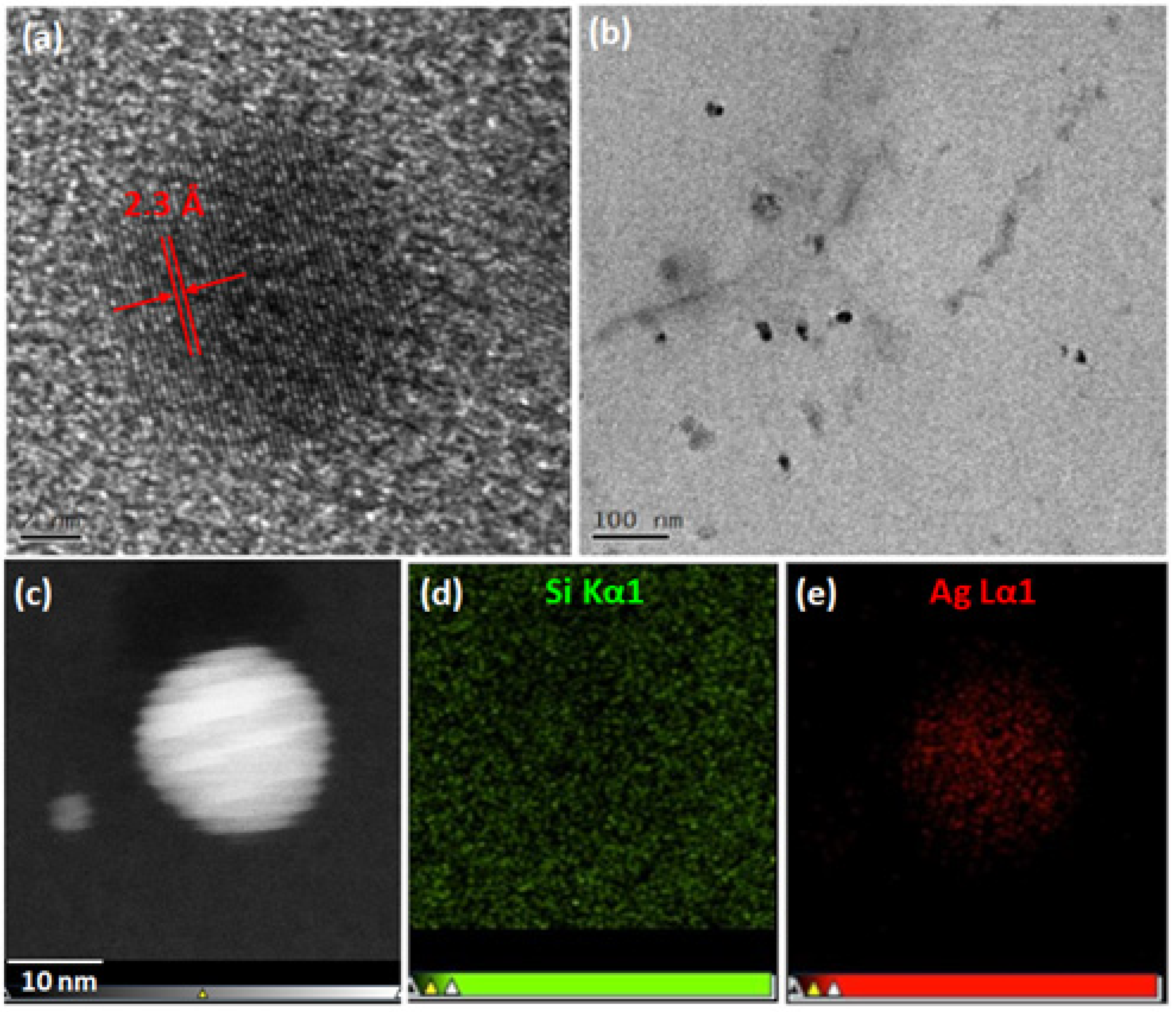 Biomimetics 10 00846 g002