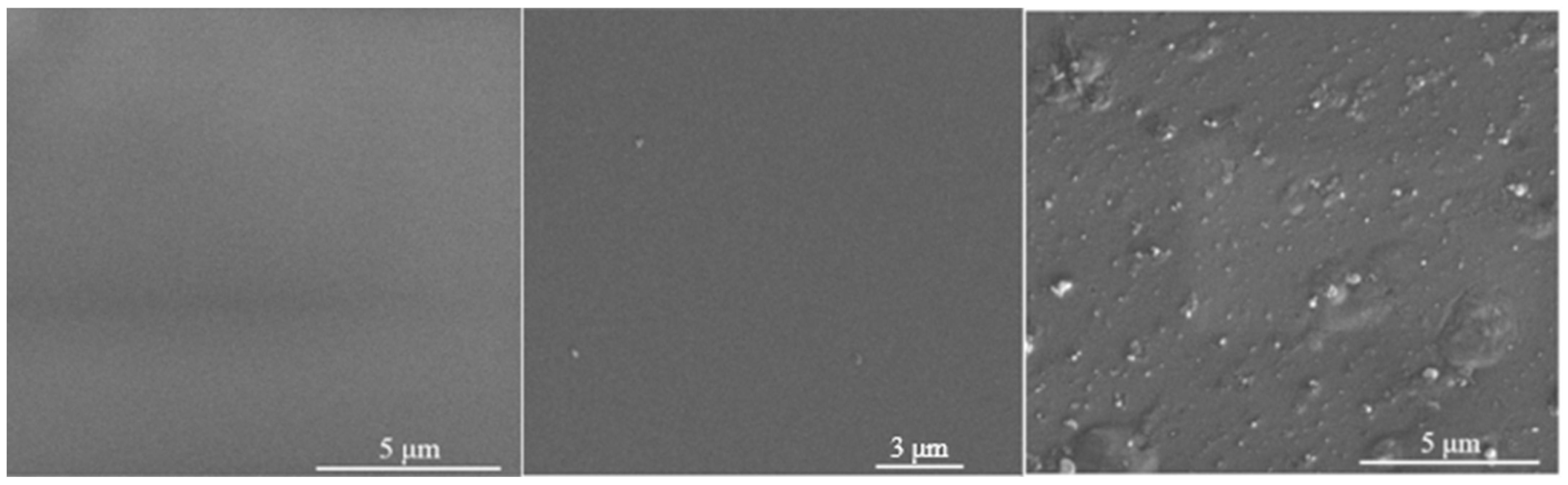 Biomimetics 10 00846 g003