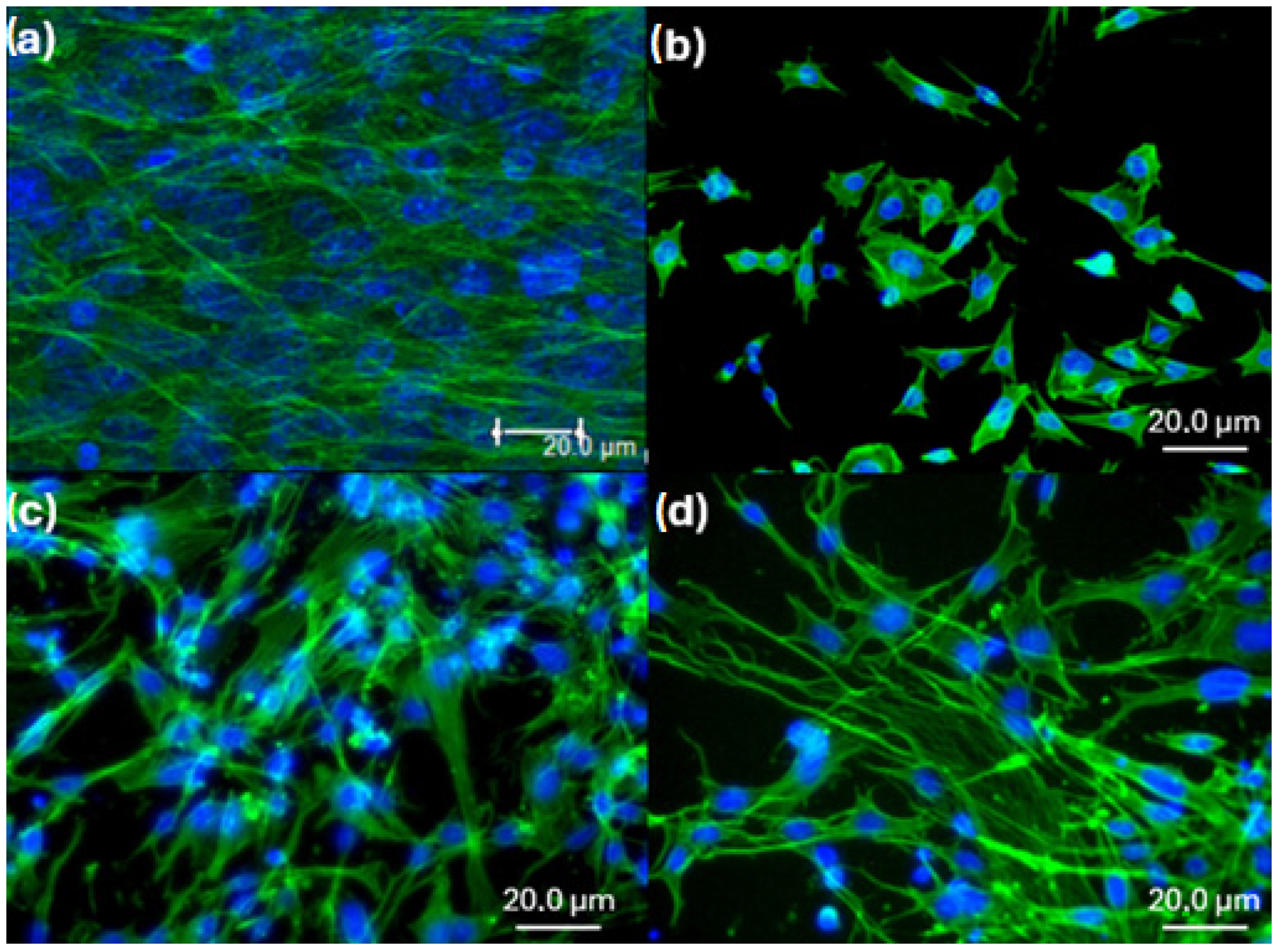 Biomimetics 10 00846 g008