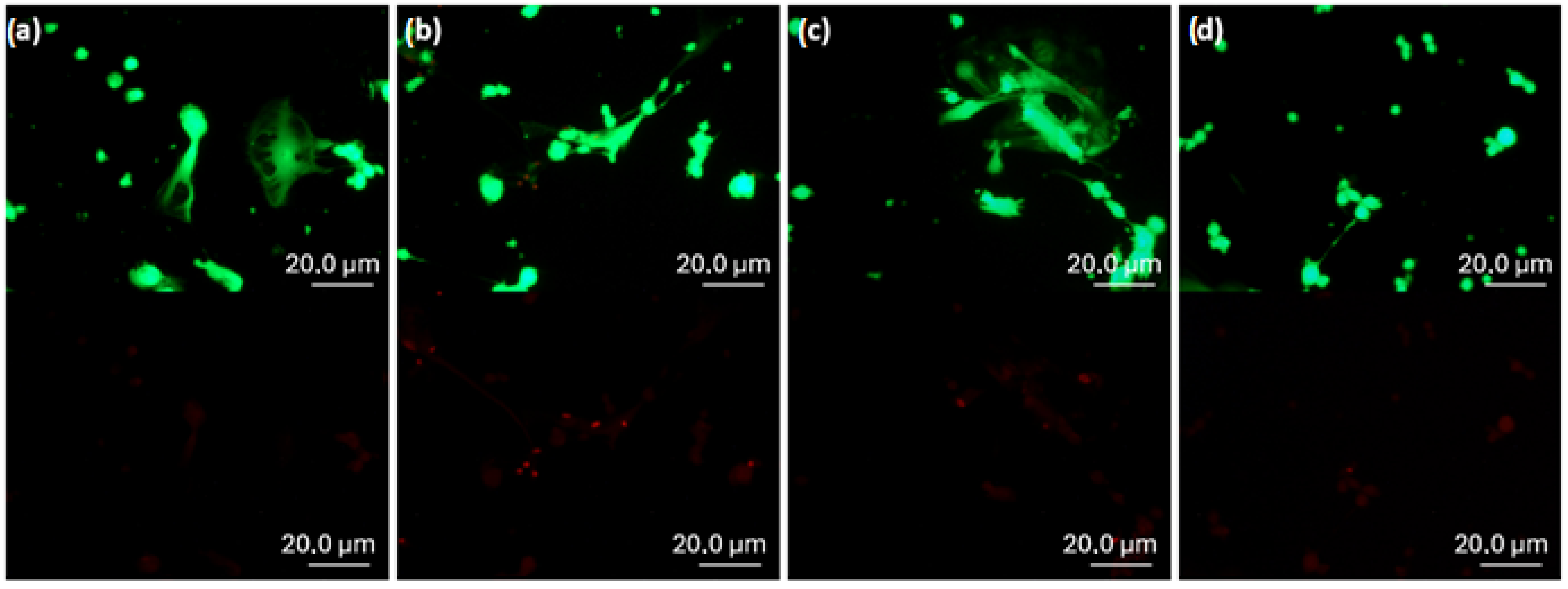 Biomimetics 10 00846 g009
