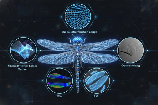 In-flight dragonfly (credits: National Geographic) [25].