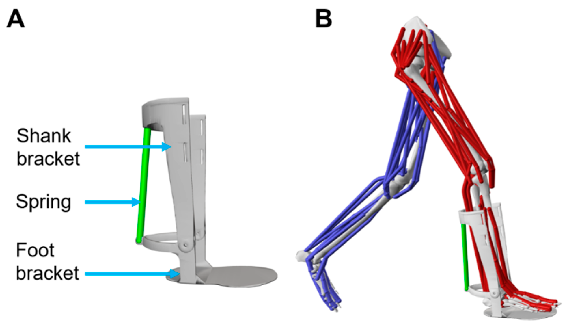 Biomimetics 11 00002 g002