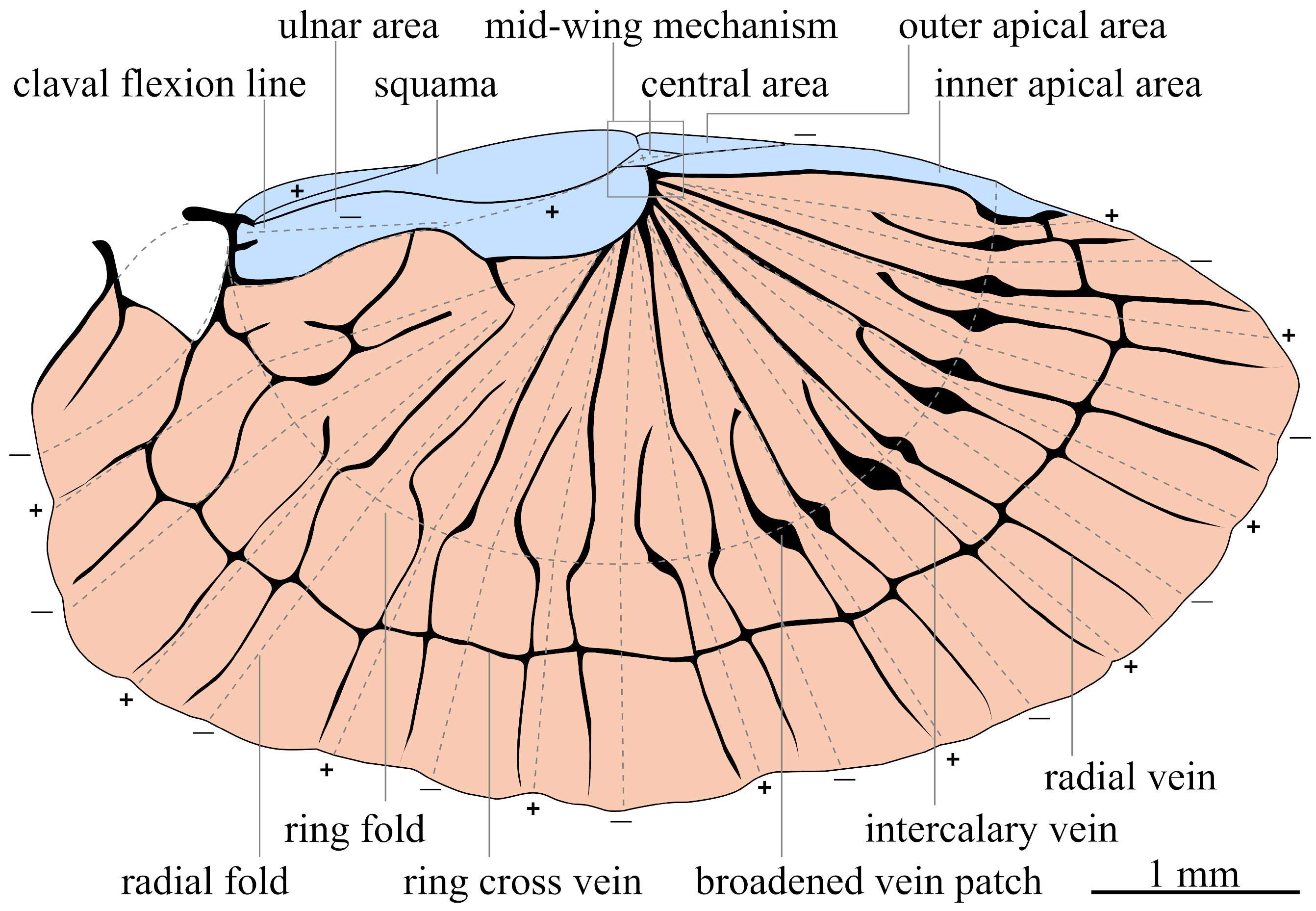 Biomimetics 11 00009 g001 Biomimetics 11 00009 g001
