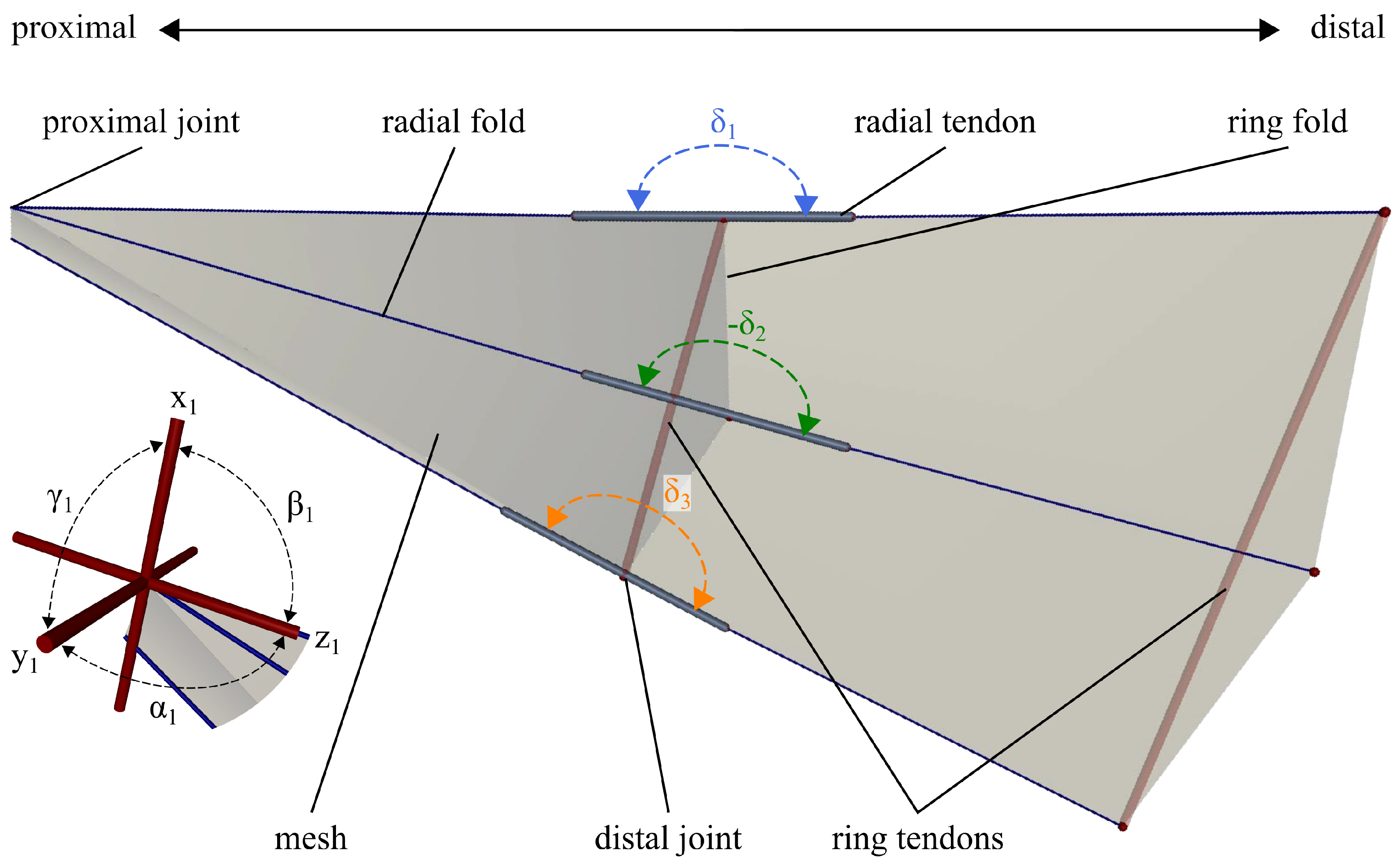 Biomimetics 11 00009 g004 Biomimetics 11 00009 g004