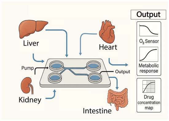 Organ-on-a-Chip and Lab-on-a-Chip Technologies in Cardiac Tissue ...