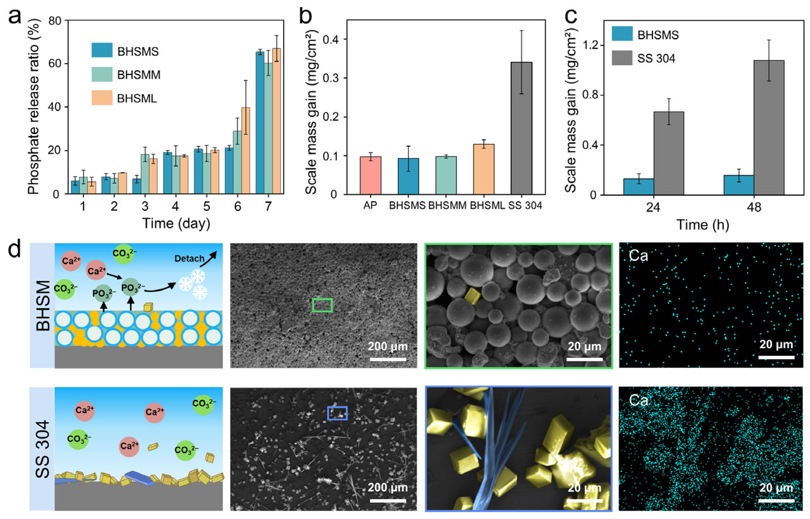 Biomimetics 11 00022 g003 Biomimetics 11 00022 g003