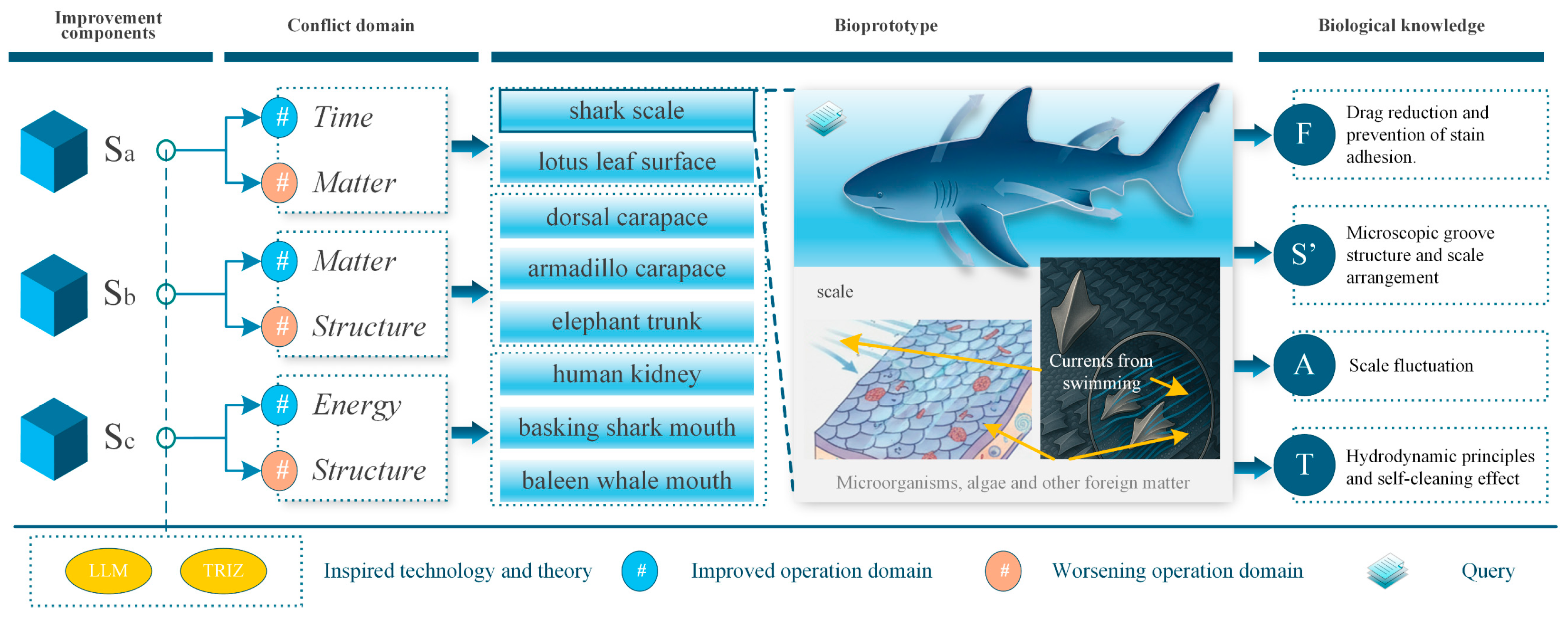 Biomimetics 11 00023 g005 Biomimetics 11 00023 g005